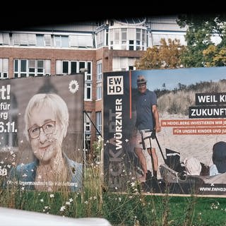 Wahlplakate Oberbürgermeisterwahl Heidelberg