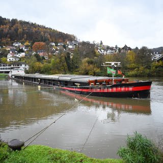 Festgefahrenes Schiff bei Eberbach