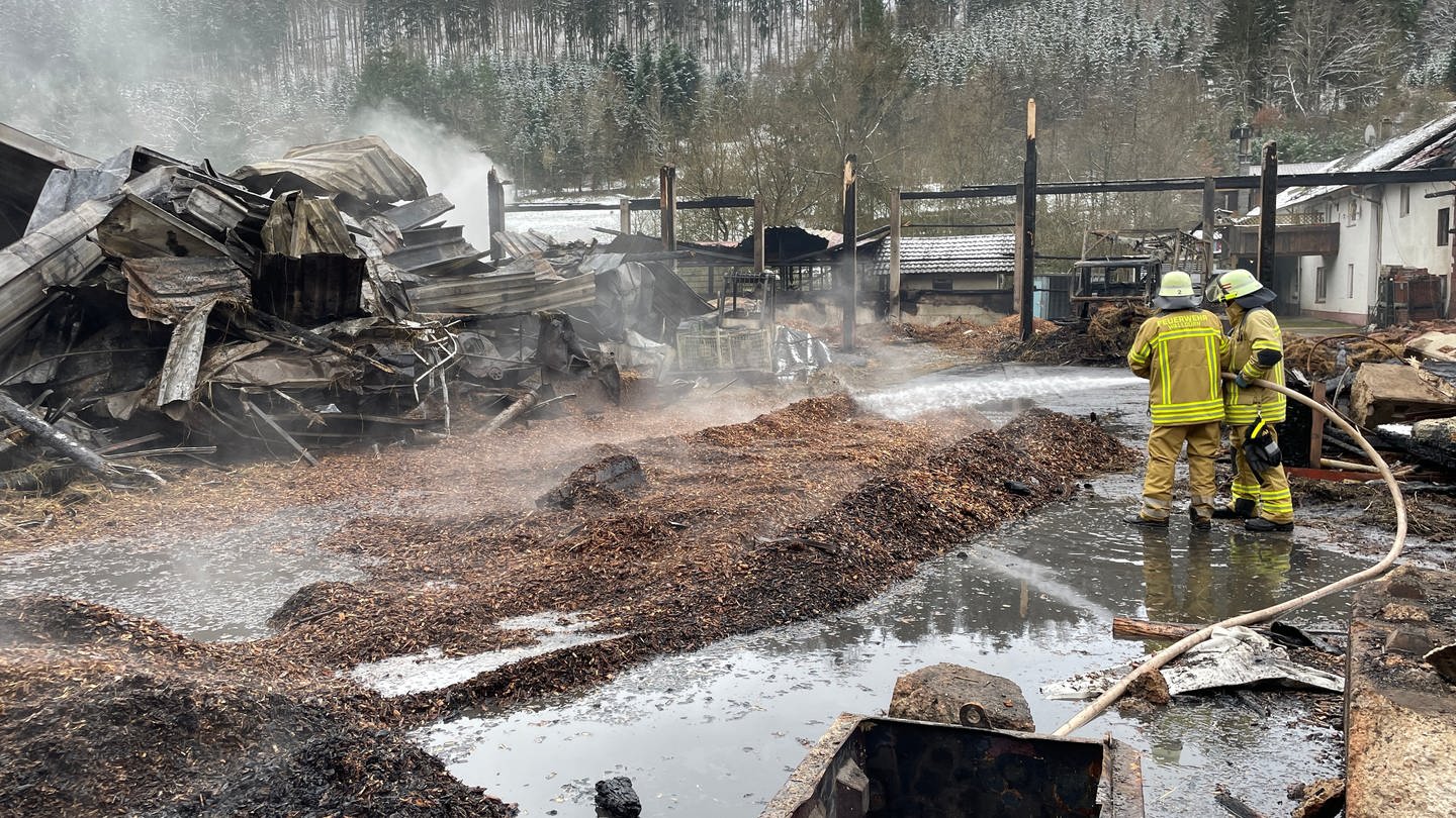 Trümmer Feuerwehr Brand Ponyhof