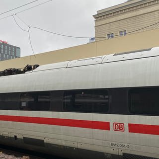 Eine Taube hat an Gleis 3 des Mannheimer Hbf einen Oberleitungsschaden verursacht