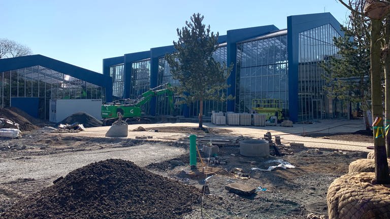 Der Luisenpark Mannheim im März 2023 - Blick auf das Pflanzenschauhaus 