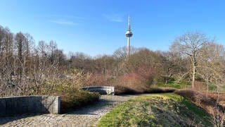 Der Luisenpark Mannheim im März 2023 - Blick auf den Fernmeldeturm 