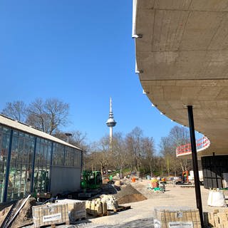 Der Luisenpark Mannheim im März 2023