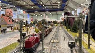 Bei der Messe "Faszination Modellbahn“ in Mannheim sind viele internationale Aussteller dabei. 