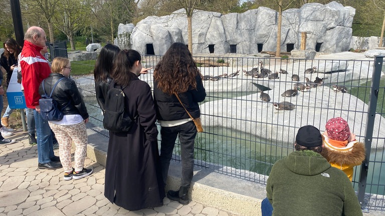 Impressionen vom zweiten BUGA23-Tag - am neuen Pinguingehege im Luisenpark