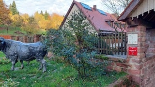 Im Streit um den Kohlhof könnte es einen Vergleich vor dem Oberlandesgericht geben