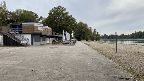 Das Rheinufer am Strandbad in Mannheim-Neckarau mit Rhein