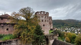 Die neue Hortus Palatinus-App der Staatlichen Schlösser und Gärten Baden-Württemberg ist jetzt aktiv