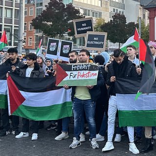 Pro-Palästina-Demo in Mannheim