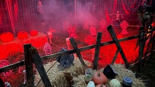 Halloween Gruselgarten in Heidelberg-Pfaffengrund