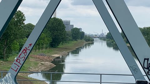 Die erste Phase der Renaturierung des Neckars in Mannheim ist abgeschlossen, das nächste Teilstück folgt von Mai 2024 an.