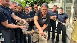 Feuerwehr Mannheim übt Tierrettung von exotischen Tieren