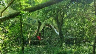 Das abgestürzte Flugzeug hängt zwischen den Bäumen.