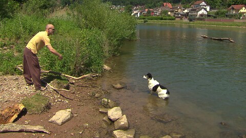 Camper spielt mit Hund