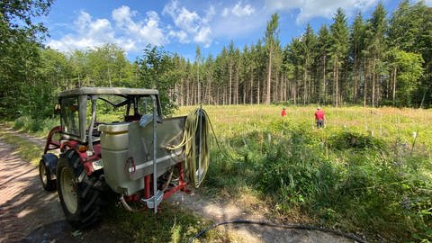 Bewässerung von Jungpflanzen im Odenwald mit landwirtschaftlicher Maschine