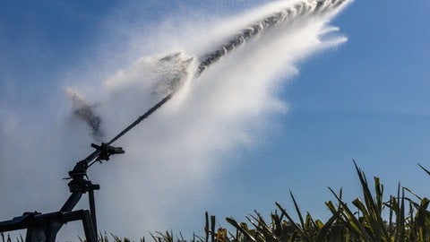 Bewässerung in der Landwirtschaft