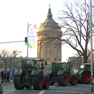 Rund 350 Traktoren sind am Montagnachmittag durch die Mannheimer Innenstadt gefahren.