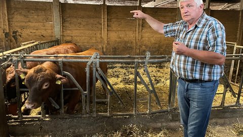 Bierhelderhofbetreiber Peter Schumacher wehrt sich gegen Vorwürfe der Tierquälerei