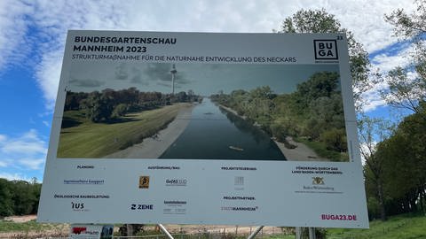 Der Neckar in Mannheim wird bezüglich der BUGA23 renaturiert