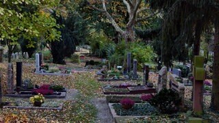 Naturnaher Friedhof für den Artenschutz