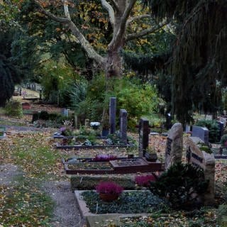 Naturnaher Friedhof für den Artenschutz