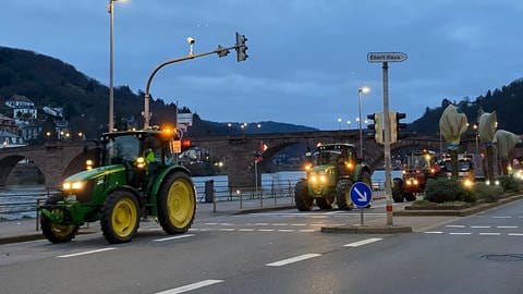Bauern protestieren - auch in Heidelberg sind am Montagmorgen Traktoren unterwegs.