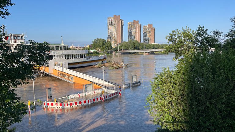 Das Neckarhochwasser in Mannheim