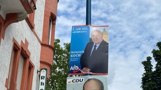 An einem Laternenpahl hängt ein Wahlplakat der AfD Mannheim