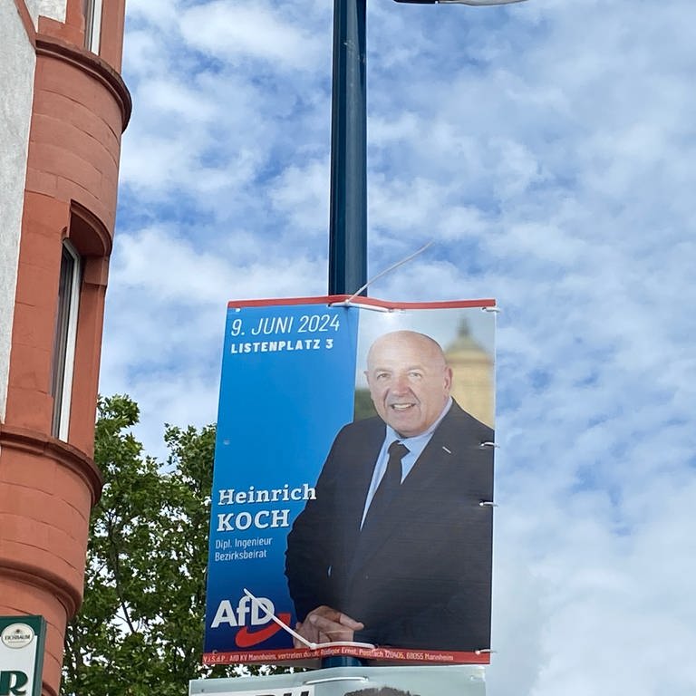 An einem Laternenpahl hängt ein Wahlplakat der AfD Mannheim