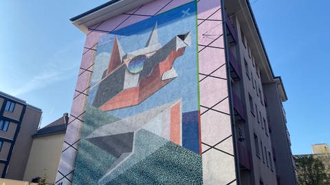 Im Mittelpunkt des Kunstwerks steht die stilisierte Darstellung eines Wolfskopfes, der eine reflektierende Sonnenbrille trägt. Das  Hintergrundmuster bildet ein Raster aus rosa und grauen Kacheln