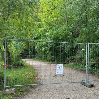 Schwetzinger Schlossgarten teilweise gesperrt wegen Astbruch Gefahr