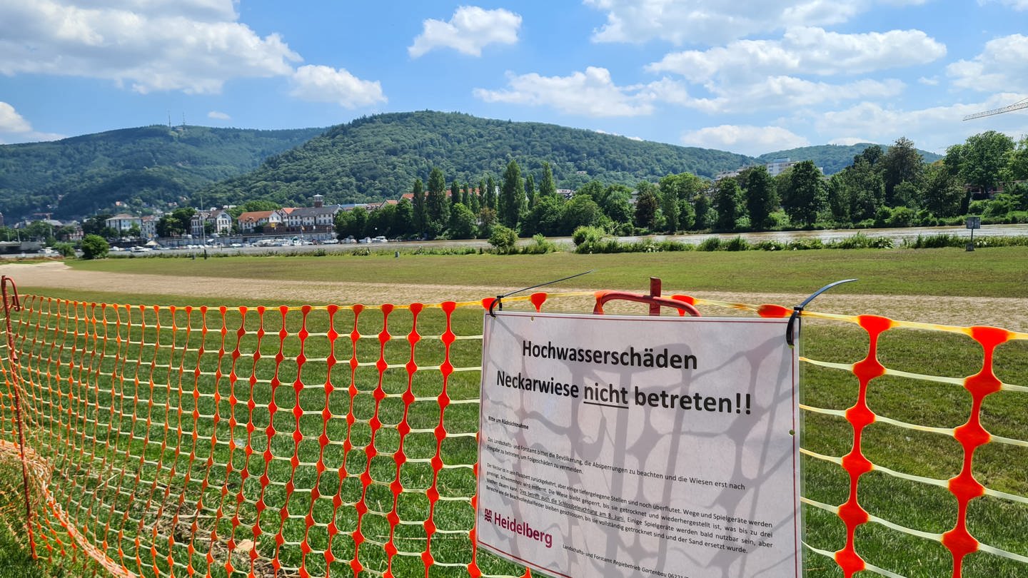 Die Neckarwiese in Heidelberg ist abgesperrt mit einem Zaun. Daran hängt ein Schild der Stadt Heidelberg 