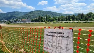 Die Neckarwiese in Heidelberg ist abgesperrt mit einem Zaun. Daran hängt ein Schild der Stadt Heidelberg "Neckarwiese nicht betreten"
