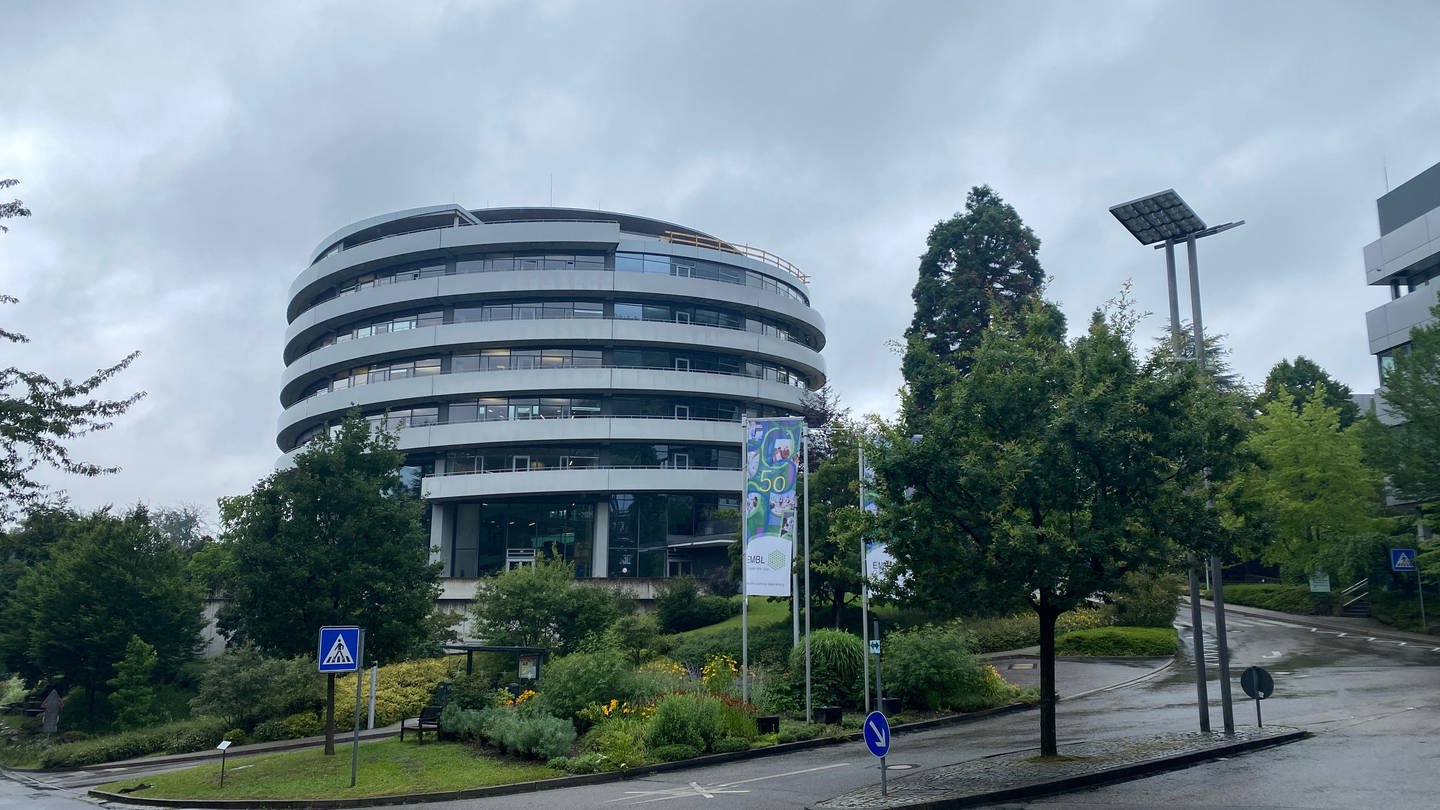 EMBL Campus in Heidelberg