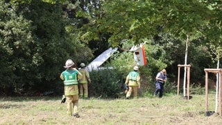 Ein Segelflugzeug ist am Samstag in Mannheim in einem Baum hängen geblieben