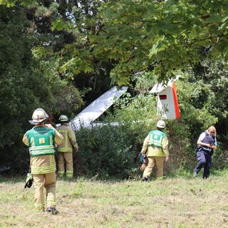 Ein Segelflugzeug ist am Samstag in Mannheim in einem Baum hängen geblieben