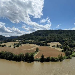 Neckar-Hochwasser bei Zwingenberg