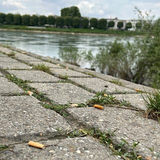Rheinterassen bei Mannheim, im Vordergrund liegen Zigaretten-Reste