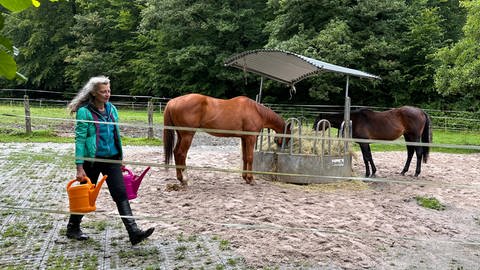 Annely Putz holt Wasser für das Futter der Tiere, während Sevi gerade Heu frisst