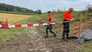 Arbeiter errichten einen Schutzzaun gegen die Schweinepest bei Mannheim