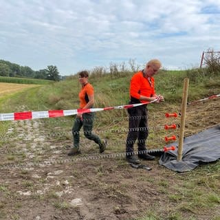 Arbeiter errichten einen Schutzzaun gegen die Schweinepest bei Mannheim