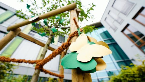 Die Schule hat Anfang Juli einen Mandelbaum gepflanzt, um an die verstorbene Schülerin zu gedenken. An dem Baum wurden eine Gedenkplakette und einige Schmetterlinge, welche von Schülern stammen, angebracht.