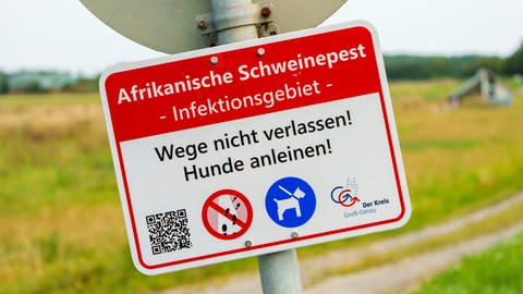 Schild mit Verhaltensregeln zum Schutz vor der Afrikanischen Schweinepest