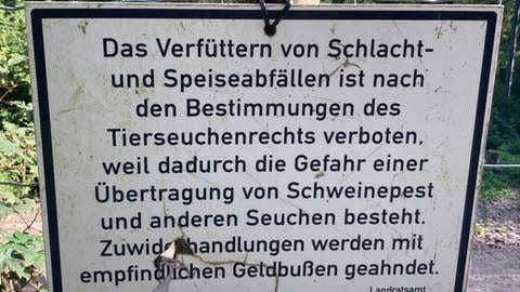 Schild mit Aufschrift Fütterungsverbot in Eberbach