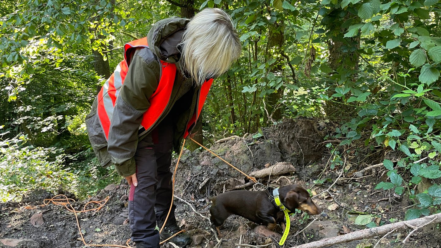 Hundeführerin mit Kadaver-Spürhund in einem Wald bei Eberbach