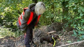 Hundeführerin mit Kadaver-Spürhund in einem Wald bei Eberbach