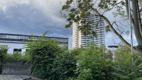 Hochhaus mit Baum davor