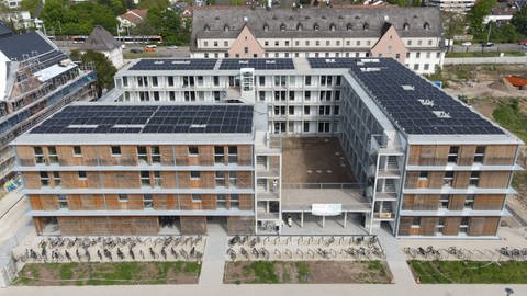 Das Collegium Academicum ist aus Holz gebaut und hat Platz für über 250 Menschen