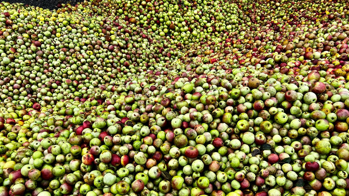 Grube Streuäpfel nah