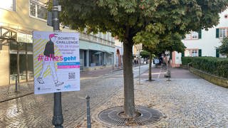 Poster der Schritte Challenge in Schwetzingen